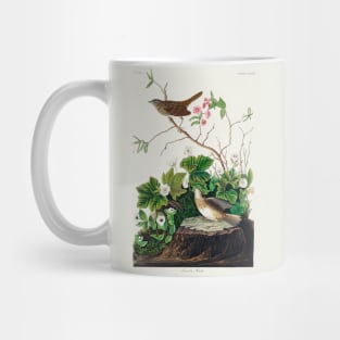 Tawny Thrush from Birds of America (1827) Mug